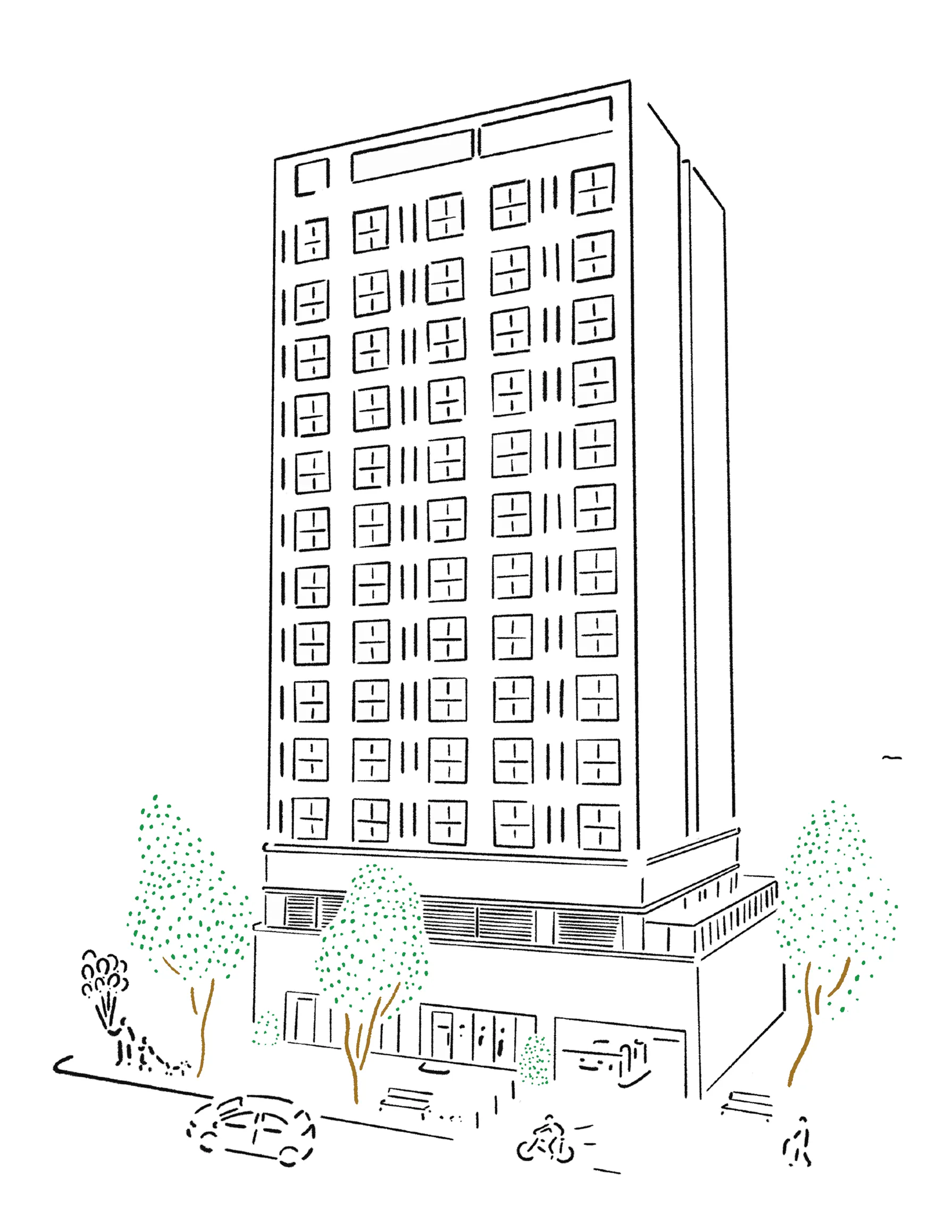 맹그로브 창천 일러스트