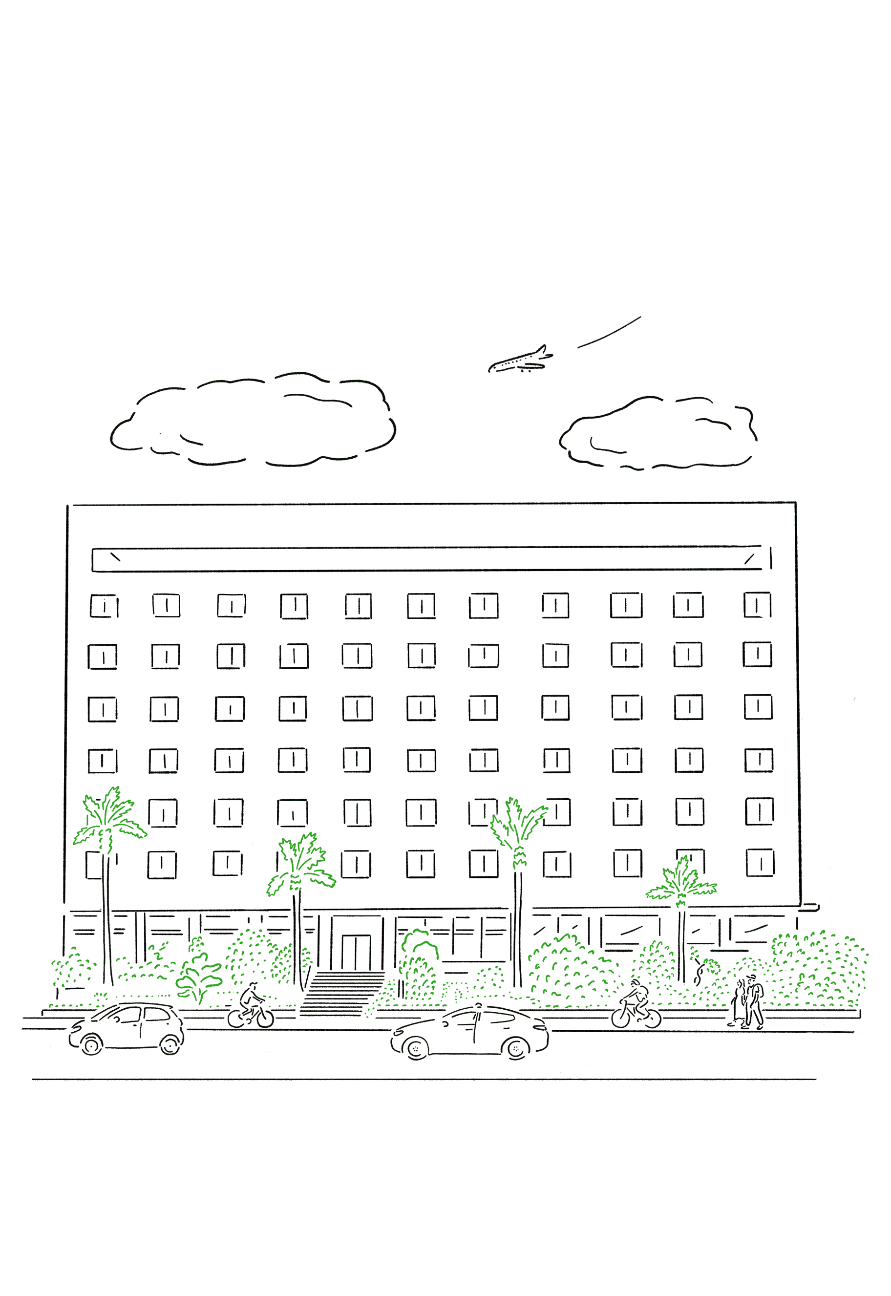 맹그로브 제주 일러스트